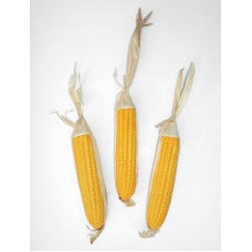 3 x Corn Cobs, Artificial Replica Vegetables, Decorative Imitation Fake Maize   291789240583
